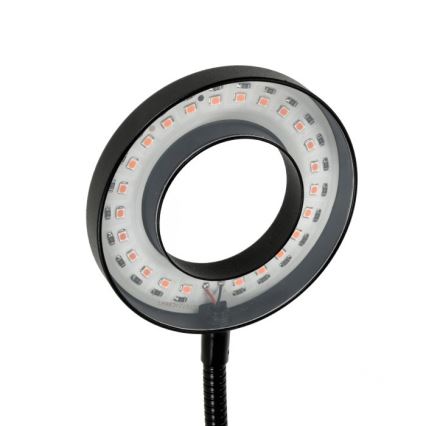 LED Dimbare Flexibele Tafellamp met Clip voor Plantenkweek VITARO 2xLED/4W/230V zwart