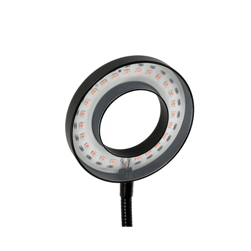 LED Dimbare Flexibele Tafellamp met Clip voor Plantenkweek VITARO 2xLED/4W/230V zwart