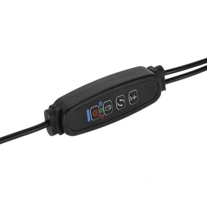 LED Dimbare Flexibele Tafellamp met Clip voor Plantenkweek VITARO 2xLED/4W/230V zwart