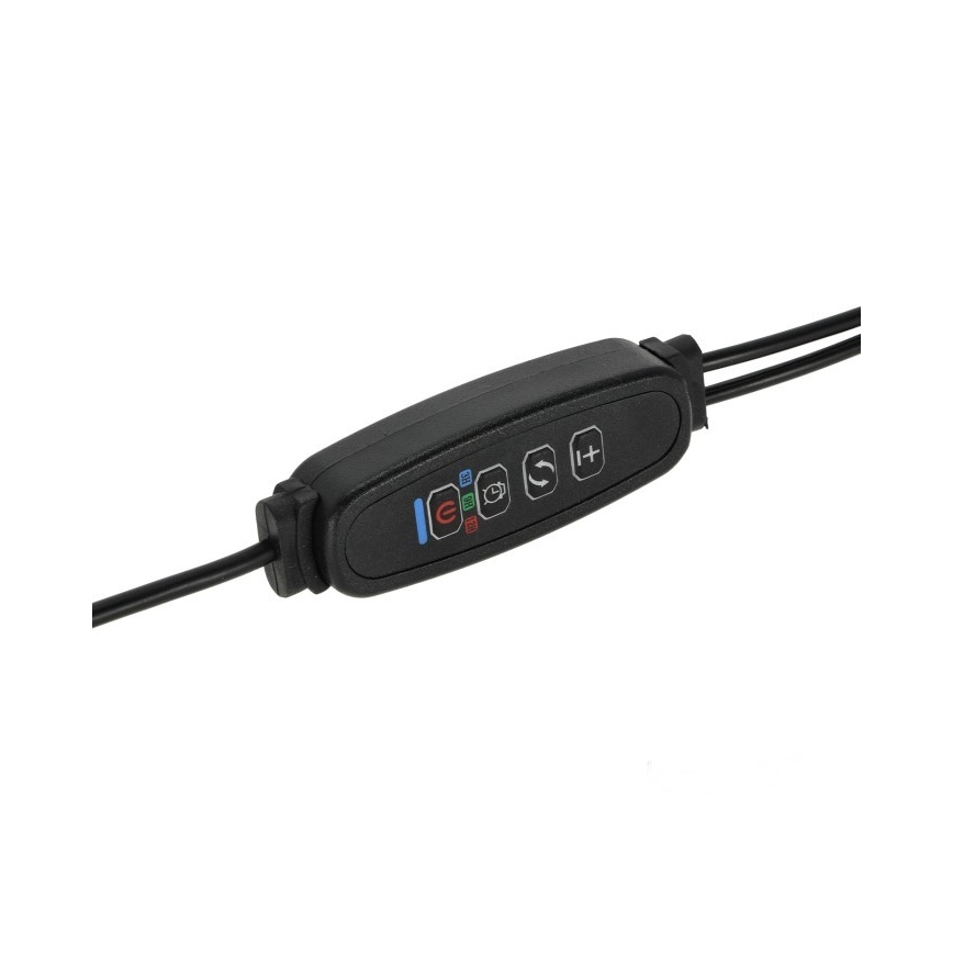 LED Dimbare Flexibele Tafellamp met Clip voor Plantenkweek VITARO 2xLED/4W/230V zwart