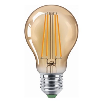 LED-gloeilamp VINTAGE A60 E27/10W/230V 2200K - Aigostar