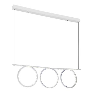 LED Hanglamp aan draad LOOP 3xLED/20W/230V wit