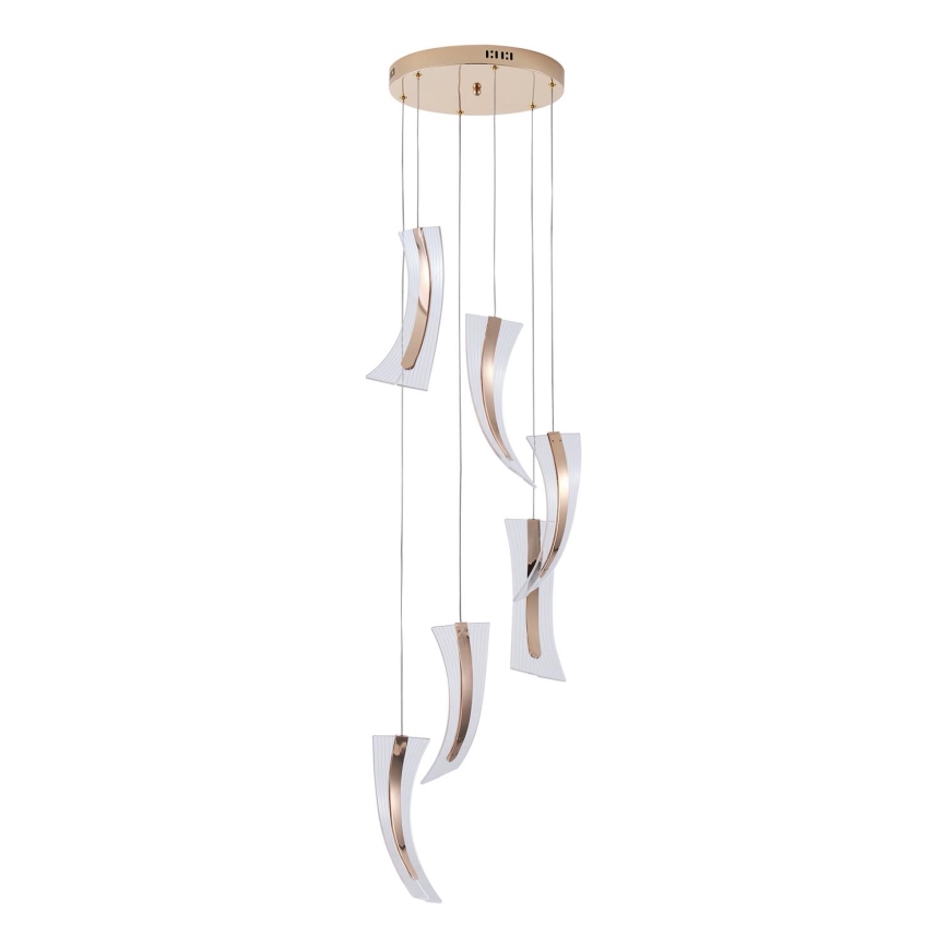 LED Hanglamp aan een koord 6xLED/10W/230V 3000K