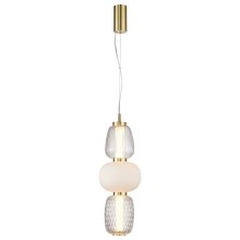 LED Hanglamp aan een koord CARO LED/28W/230V goud