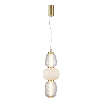 LED Hanglamp aan een koord CARO LED/28W/230V goud