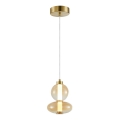 LED Hanglamp aan een koord DAPHNE LED/12W/230V goud