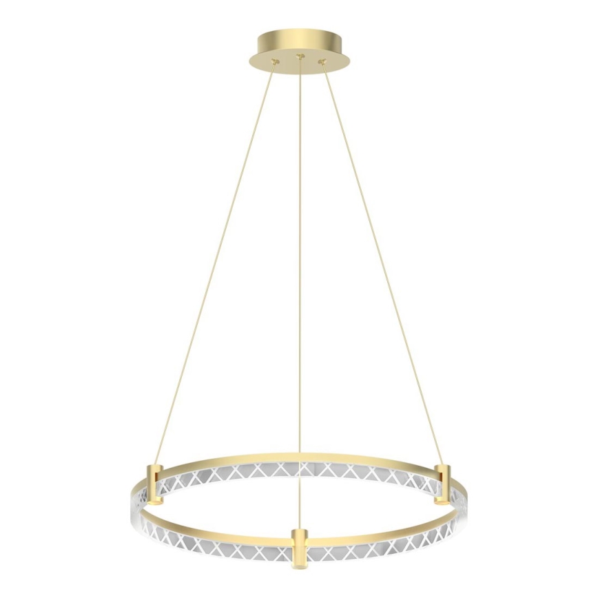 LED Hanglamp aan een koord ELEGANCE LED/36W/230V diameter 60 cm goud