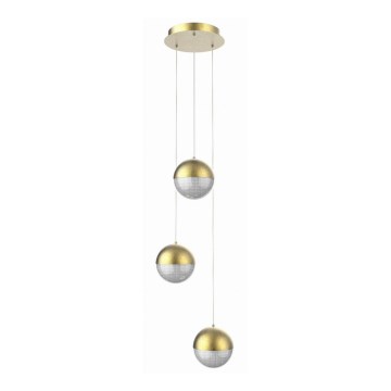 LED Hanglamp aan een koord FURNI 3xLED/5W/230V goud