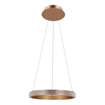 LED Hanglamp aan een koord HASHIM LED/22W/230V diameter 40 cm koper
