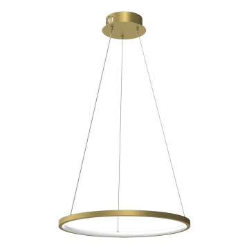 LED Hanglamp aan een koord HOOP LED/27W/230V diameter 50 cm 4000K goud