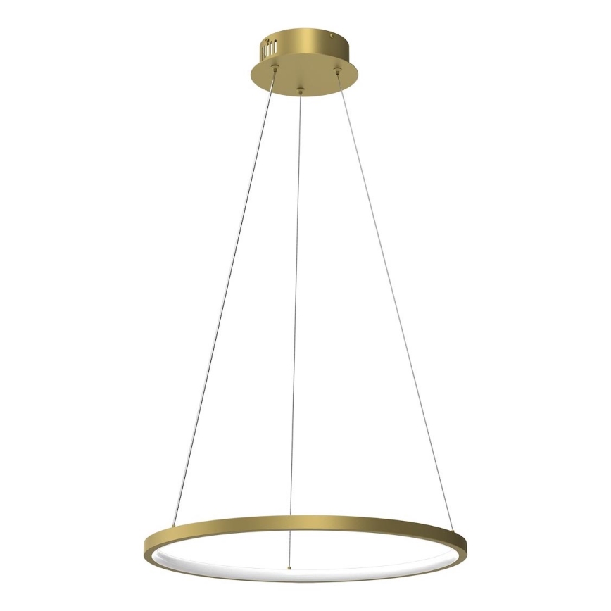 LED Hanglamp aan een koord HOOP LED/27W/230V diameter 50 cm 4000K goud