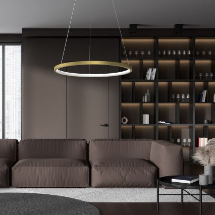 LED Hanglamp aan een koord HOOP LED/27W/230V diameter 50 cm 4000K goud