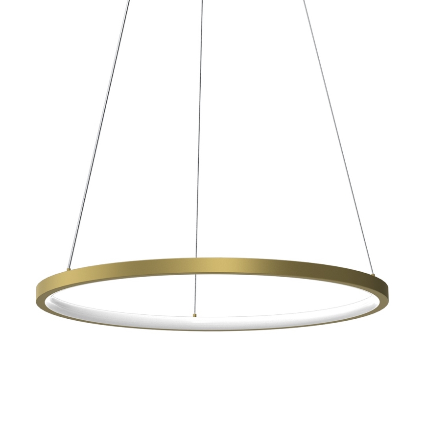 LED Hanglamp aan een koord HOOP LED/27W/230V diameter 50 cm 4000K goud
