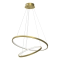 LED Hanglamp aan een koord HOOP LED/51W/230V diameter 60 cm 4000K goud