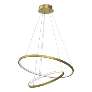 LED Hanglamp aan een koord HOOP LED/51W/230V diameter 60 cm 4000K goud