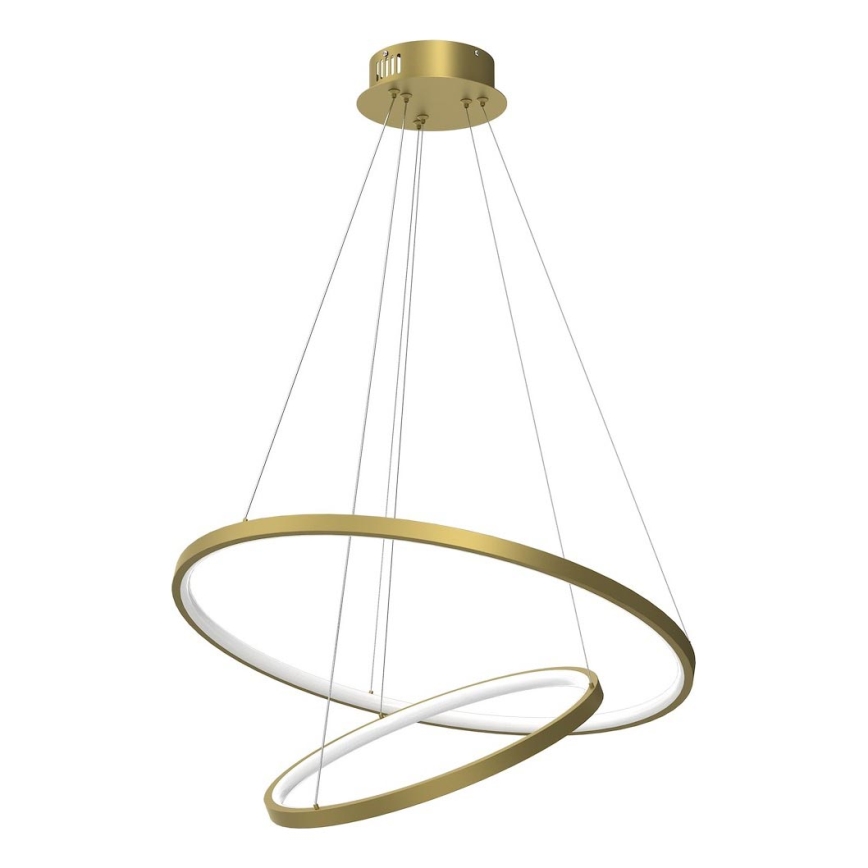 LED Hanglamp aan een koord HOOP LED/51W/230V diameter 60 cm 4000K goud