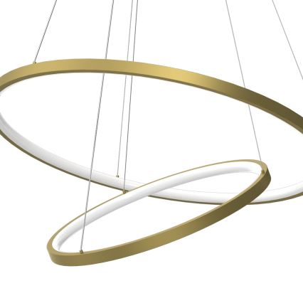 LED Hanglamp aan een koord HOOP LED/51W/230V diameter 60 cm 4000K goud