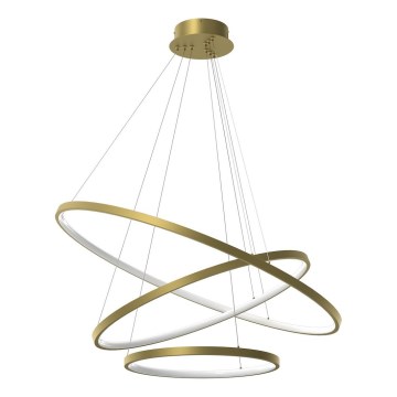 LED Hanglamp aan een koord HOOP LED/93W/230V diameter 80 cm 4000K goud