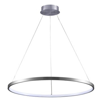 LED Hanglamp aan een koord LEA LED/20W/230V 4000K diameter 50 cm mat chroom