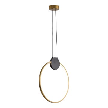 LED Hanglamp aan een koord LED/10W/230V 3000K