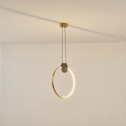 LED Hanglamp aan een koord LED/10W/230V 3000K