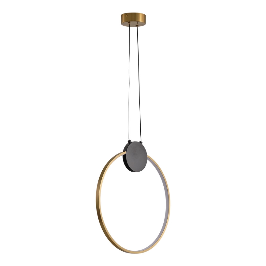 LED Hanglamp aan een koord LED/10W/230V 3000K