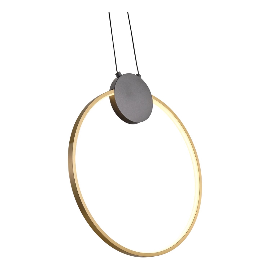 LED Hanglamp aan een koord LED/10W/230V 3000K