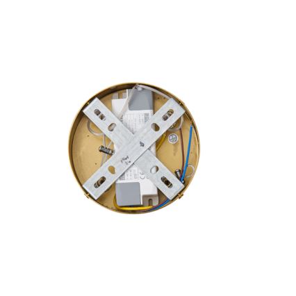 LED Hanglamp aan een koord LED/19W/230V 3000K