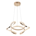 LED Hanglamp aan een koord LED/24W/230V 3000K 50x120 cm