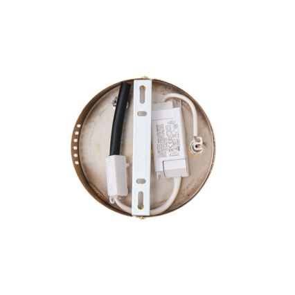 LED Hanglamp aan een koord LED/24W/230V 3000K 50x120 cm
