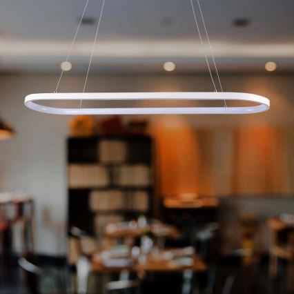 LED Hanglamp aan een koord LED/24W/230V 4000K wit