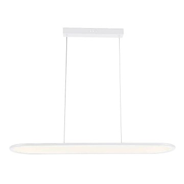 LED Hanglamp aan een koord LED/24W/230V 4000K wit