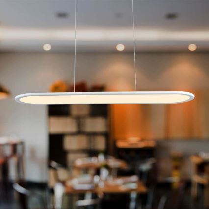 LED Hanglamp aan een koord LED/24W/230V 4000K wit