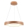 LED Hanglamp aan een koord LED/25W/230V 3000K ø 50 cm bruin