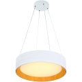 LED Hanglamp aan een koord LED/30W/230V 3000K diameter 45 cm wit/eiken