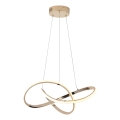 LED Hanglamp aan een koord LED/30W/230V 3000K