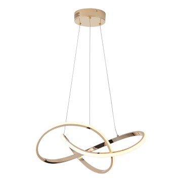 LED Hanglamp aan een koord LED/30W/230V 3000K