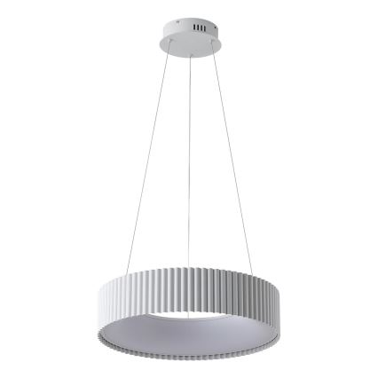 LED Hanglamp aan een koord LED/30W/230V 3000K wit