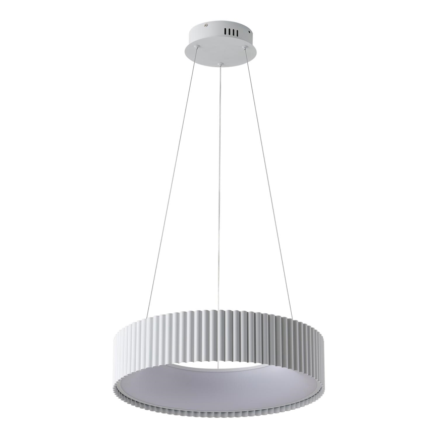 LED Hanglamp aan een koord LED/30W/230V 3000K wit