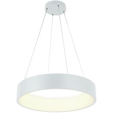 LED Hanglamp aan een koord LED/30W/230V 4000K diameter 45 cm wit