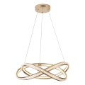 LED Hanglamp aan een koord LED/38W/230V 3000K 50x120 cm