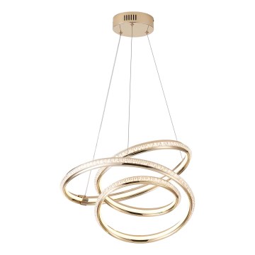 LED Hanglamp aan een koord LED/38W/230V 3000K 50x50 cm