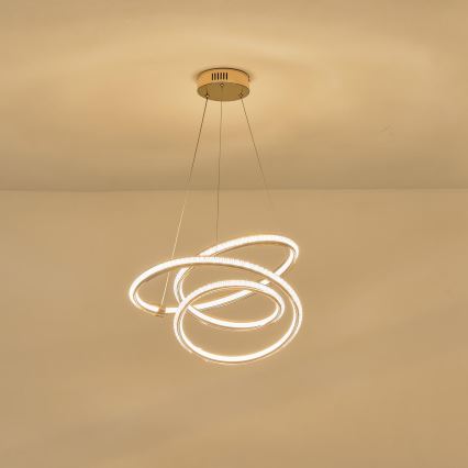 LED Hanglamp aan een koord LED/38W/230V 3000K 50x50 cm