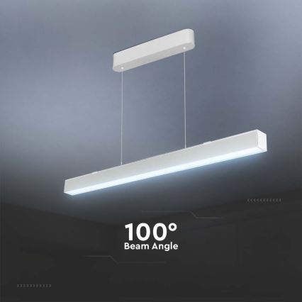 LED Hanglamp aan een koord LED/40W/230V 3000/4000/6400K wit