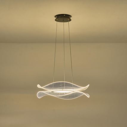 LED Hanglamp aan een koord LED/48W/230V 3000K