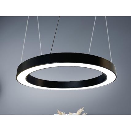 LED Hanglamp aan een koord LED/50W/230V 4000K diameter 100 cm zwart