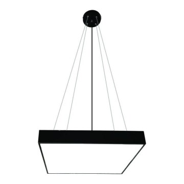 LED Hanglamp aan een koord LED/65W/230V 4000K 60x60 cm