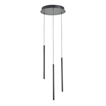 LED Hanglamp aan een koord LED/6W/230V 3000K diameter 30 cm