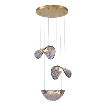 LED Hanglamp aan een koord LED/6W/230V 3000K