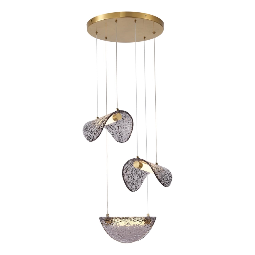 LED Hanglamp aan een koord LED/6W/230V 3000K